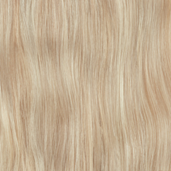 D18+60 Champagne Blonde